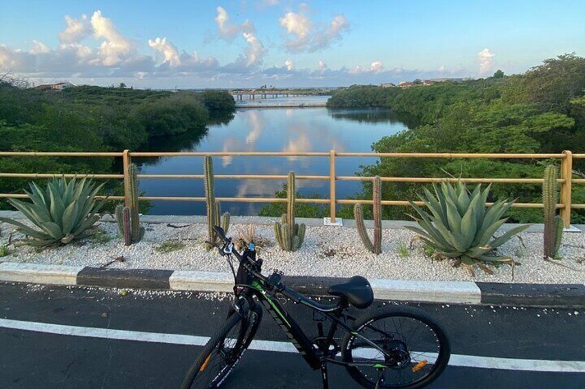 The Spanish Lagoon-Gold Mills & Nature Heritage E-bike Experience