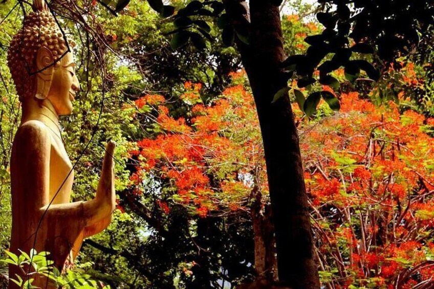 Luang Prabang Foodie Walking Tour and Monk Blessing