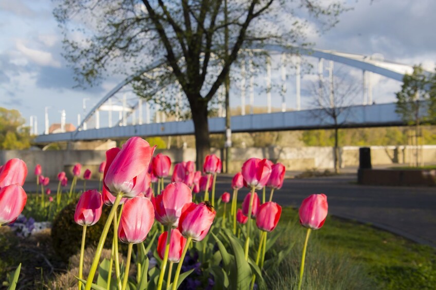 Szeged In-App Audio Tour: Exploring the Hungarian Gem