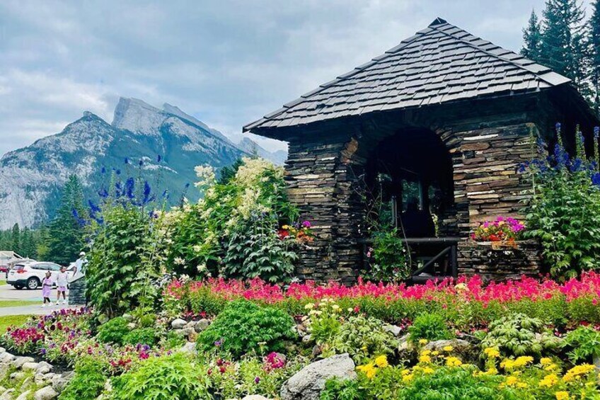 Explore Banff’s Wonders: Lake Louise, Johnston Canyon, and Beyond