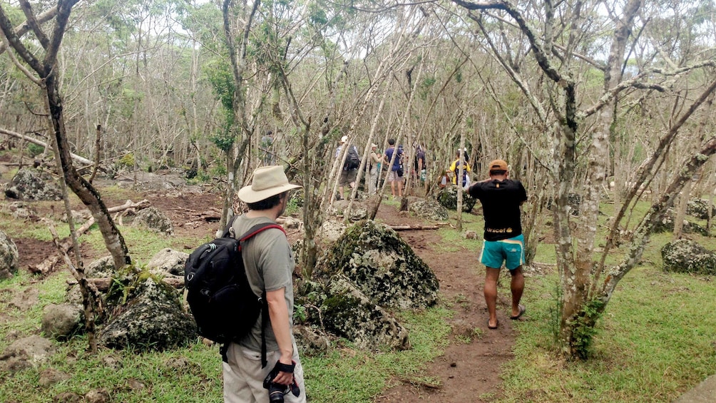 Views of the Galapagos Land Tour