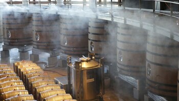 Private Ice Wine Tour