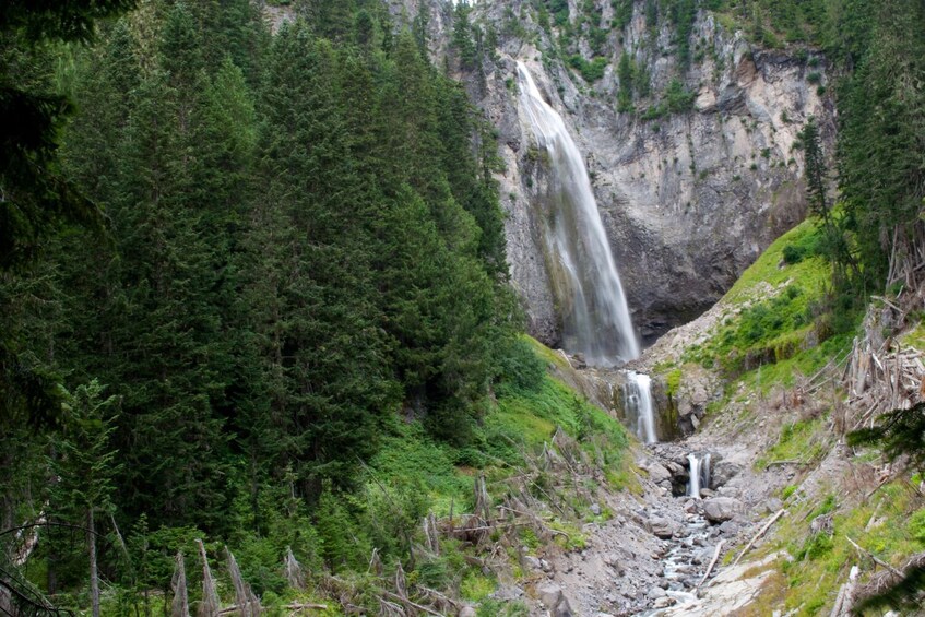 Mount Rainier National Park Self-Guided Driving Tour