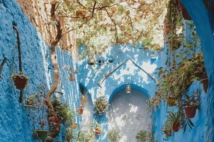 Chefchaouen 7
