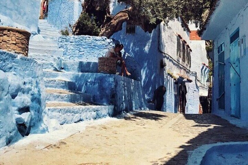 Day Tour in Blue City of Chefchaouen