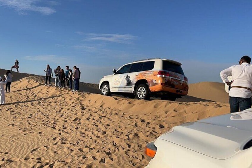 Safari Half-Day Adventure from Abu Dhabi