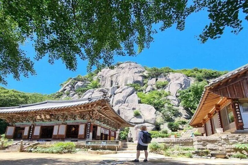 Hiking Adventure in Busan : Small GroupTour (Max 7 Pax)