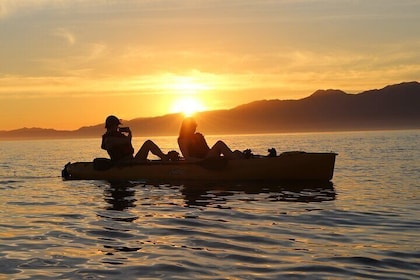 Sunset Kayak tour in Kaikoura