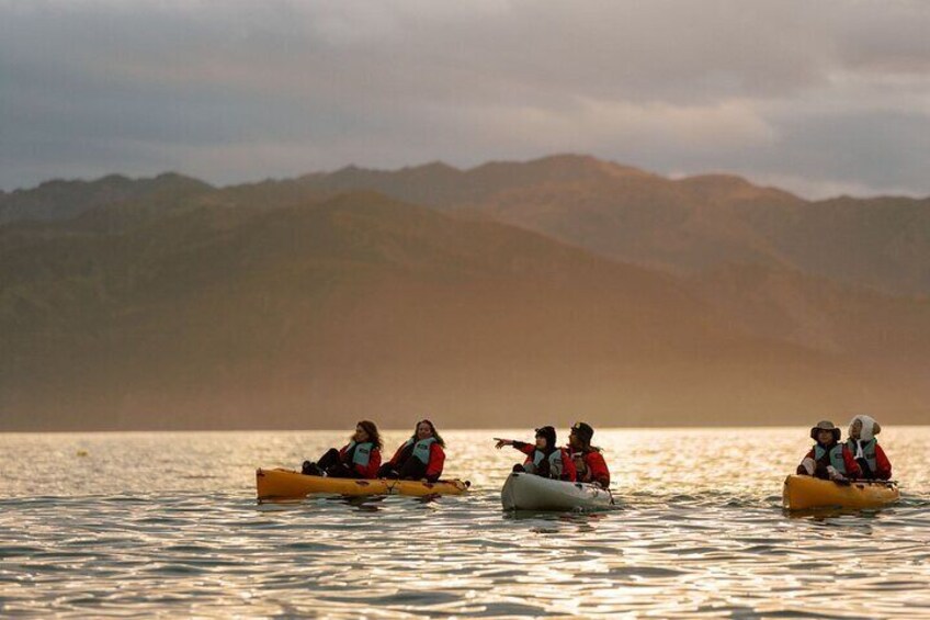 Sunset Kayak tour in Kaikoura