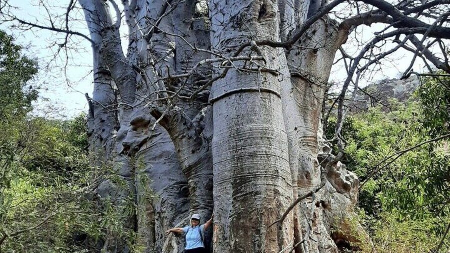 Hike to Cidade Velha