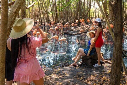 Full Day Tour to the Playa Blanca National Aviary and Plankton