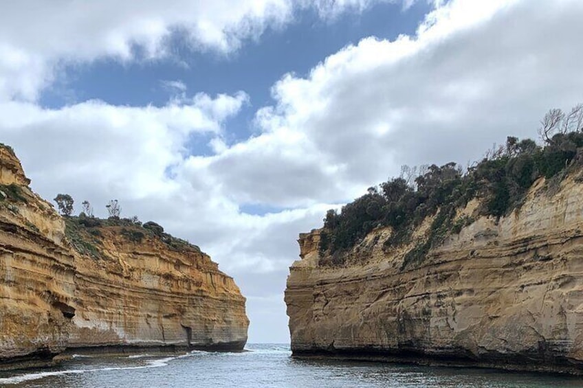 Private Small Group Tour of 2-4pax in Great Ocean Road Melbourne