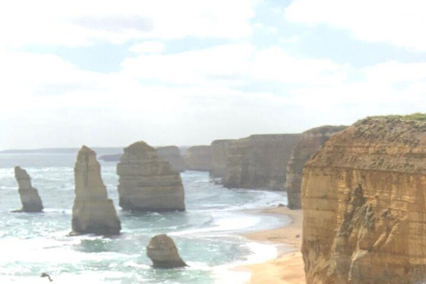 Private Small Group Tour of 2-4pax in Great Ocean Road Melbourne