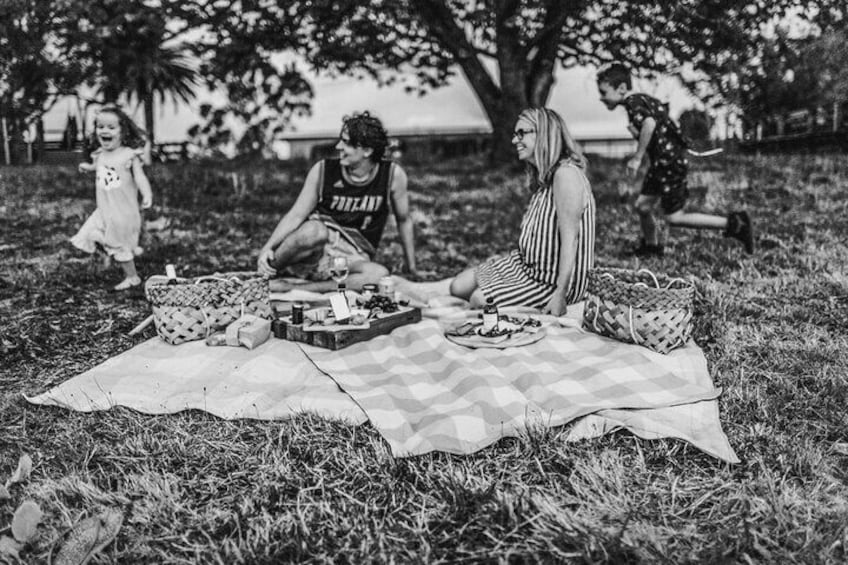 Gourmet Mystery Picnic Experience in Matakana