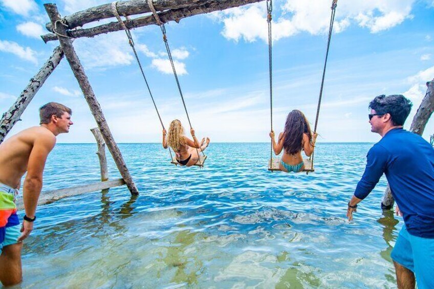 Ocean Swings