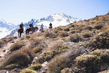 Horseback riding in the Andes