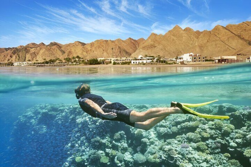 From Capital to Coast: Dead Sea's Salt Beach, Aqaba & Wadi Rum