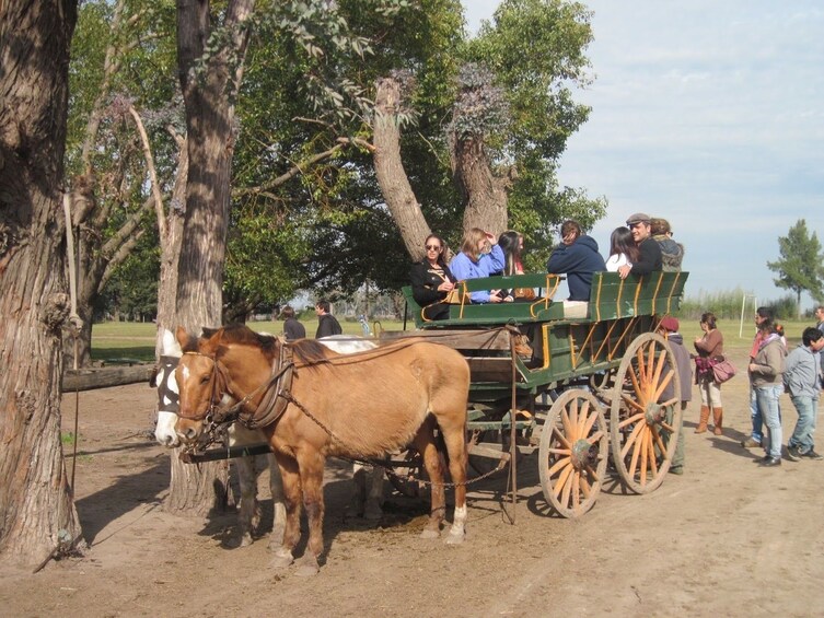 Day in the Countryside at Don Silvano Ranch with Lunch