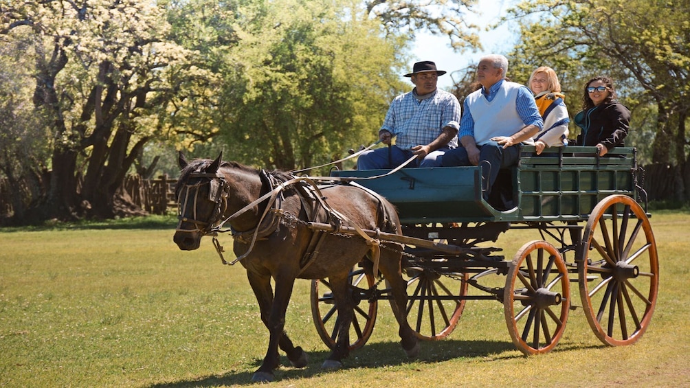 Day in the Countryside at Don Silvano Ranch with Lunch