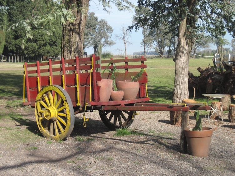 Day in the Countryside at Don Silvano Ranch with Lunch