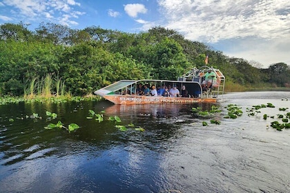 Half Day Everglades Tour with Airboat Ride & Bus from Miami Beach