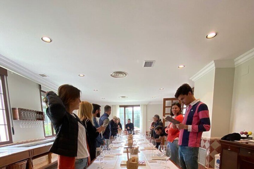 Ribera Del Duero Wine Tour | 3 Wineries + Lunch