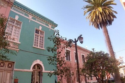 2-Hour Walking Tour of Yungay The Coolest Area in Chile