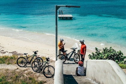 Guided Street Art Murals and Coastal San Nicolas E-Bike Aruba