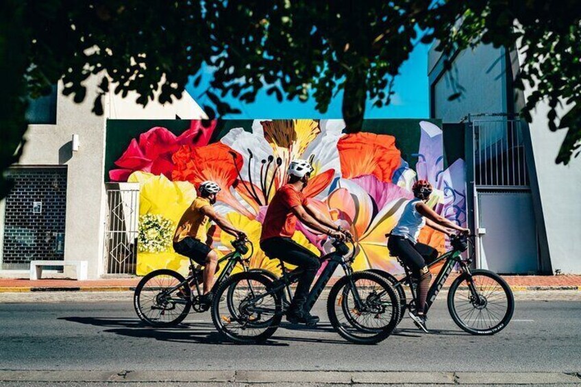 Guided Street Art Murals and Coastal E Bike Bliss in San Nicolas