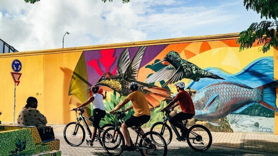 Private Street Art Murals and Coastal San Nicolas E-Bike Aruba
