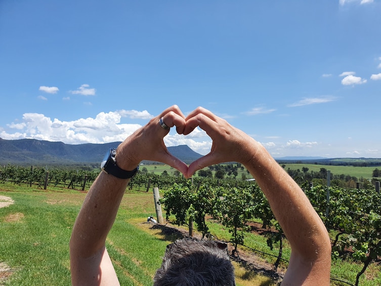 Show item 1 of 4. Hunter Valley Central Pokolbin Hop-On Hop-Off Winery Tour