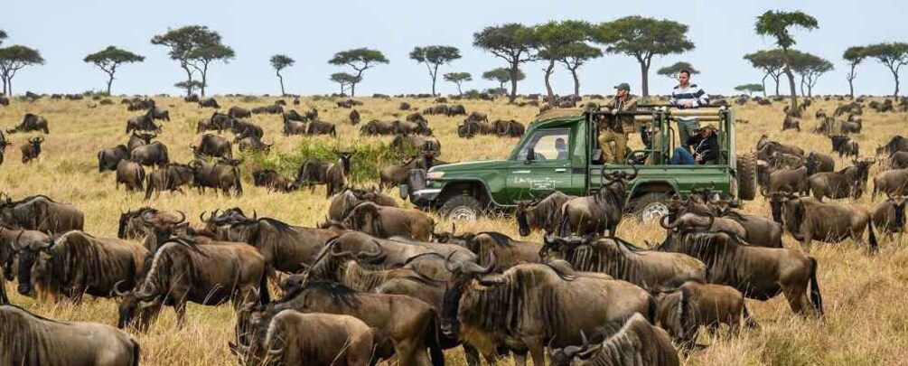 Picture 6 for Activity Wildlife Safari: 5-Day Maasai Mara, Lake Nakuru & Naivasha