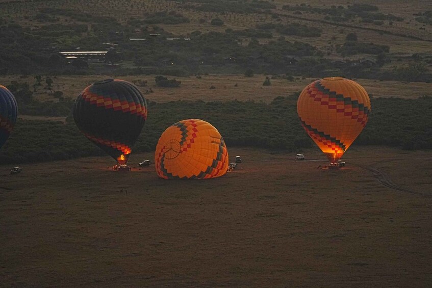 Picture 8 for Activity Wildlife Safari: 5-Day Maasai Mara, Lake Nakuru & Naivasha