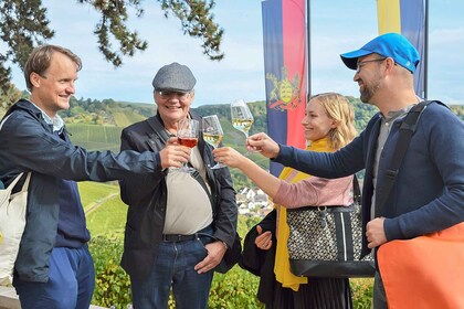 Stuttgart: caminata vinícola con degustación de vinos