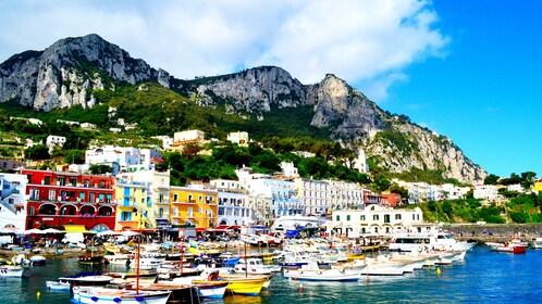 Escursione a terra: tour di 1 giorno di Capri e Pompei con partenza da Napo...