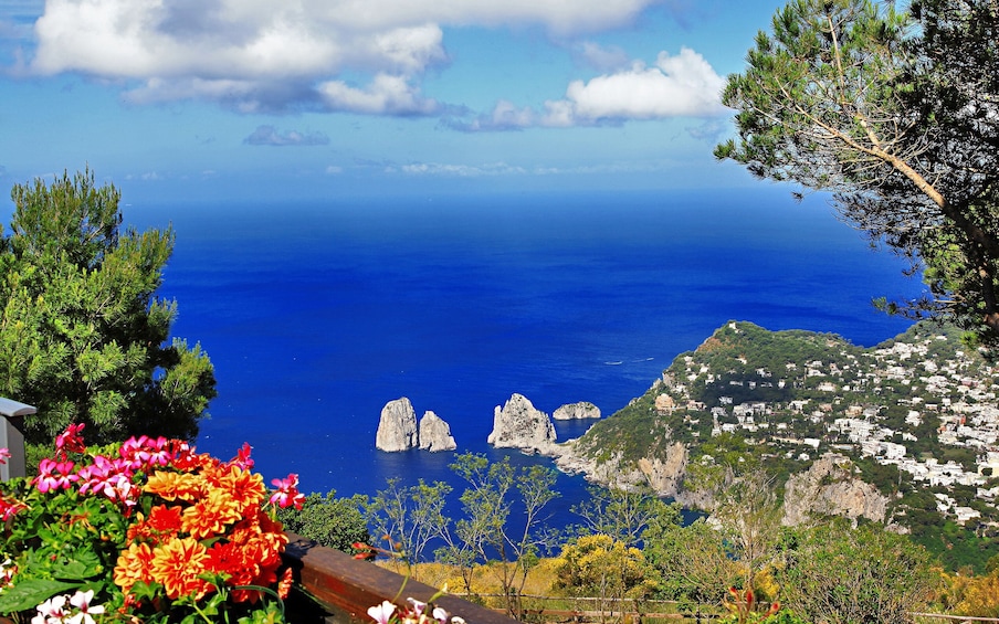 Shore Excursion: Capri & Pompeii Full-Day Tour from Naples