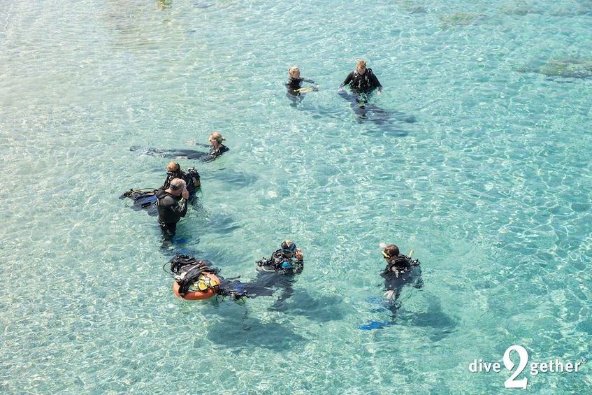 Picture 11 for Activity Plakias: Try Scuba Diving, private experience - from 8yrs