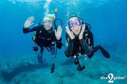 Half day Scuba Diving experience - no experience needed