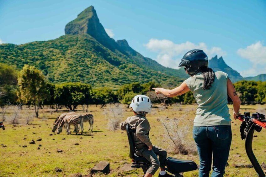 Wild Animals South West Tour : Le Morne & Safari at Casela Park
