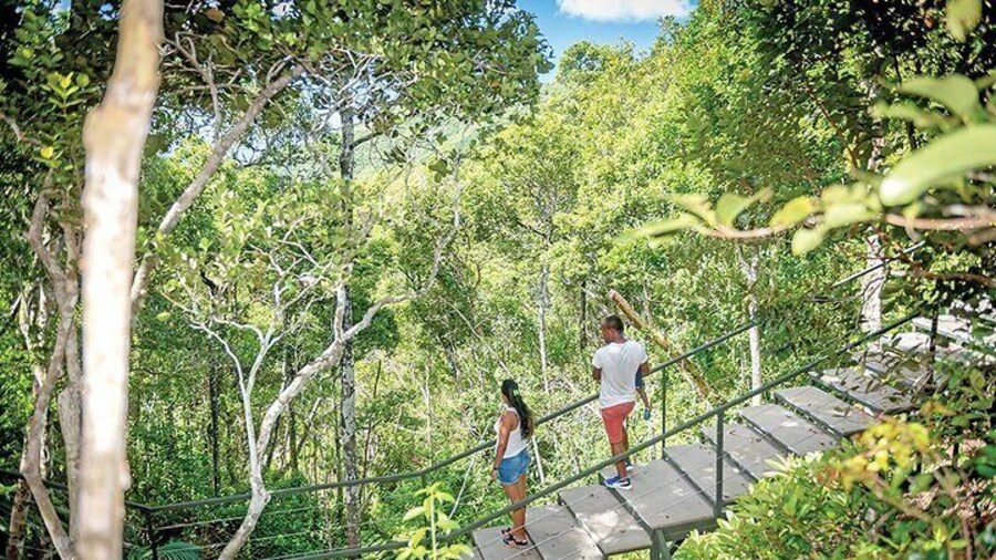 Full day Scenic South West Mauritius with Chamarel Safari & lUNCH