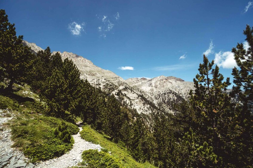 Picture 6 for Activity Mount Olympus: 2-day hiking trip to Mytikas Peak