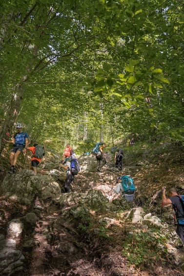 Picture 3 for Activity Mount Olympus: 2-day hiking trip to Mytikas Peak