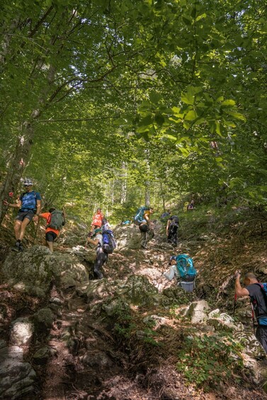 Picture 3 for Activity Mount Olympus: 2-day hiking trip to Mytikas Peak