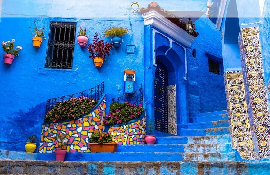 Picture 2 for Activity Day Tour to Chefchaouen from Fes with Local Expert