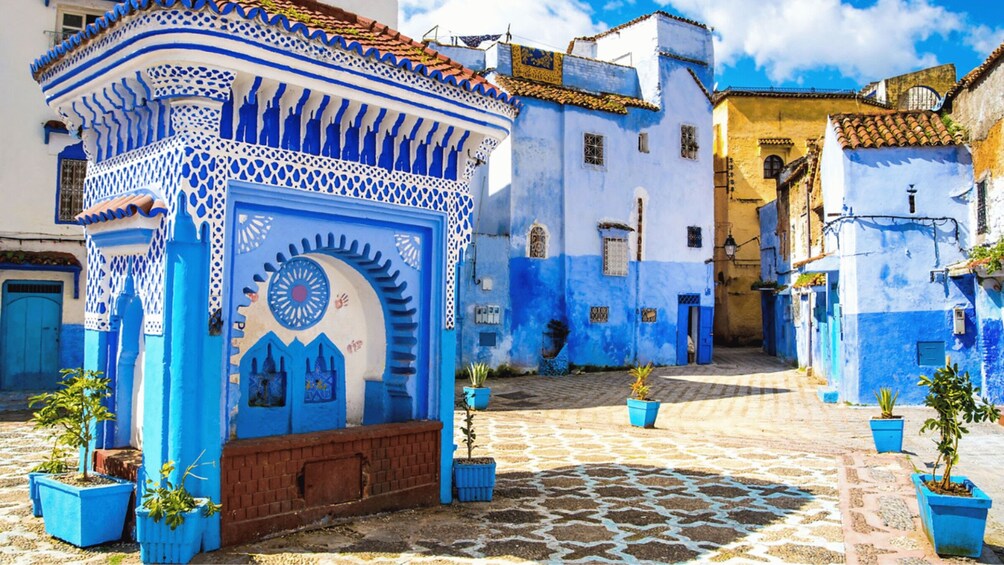 Picture 10 for Activity Day Tour to Chefchaouen from Fes with Local Expert