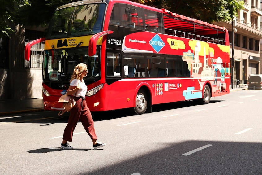 Buenos Aires by boat: Hop-on Hop-off 24 h + Navigation