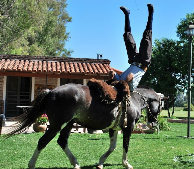 Full-Day San Antonio de Areco with El Ombú Ranch Visit