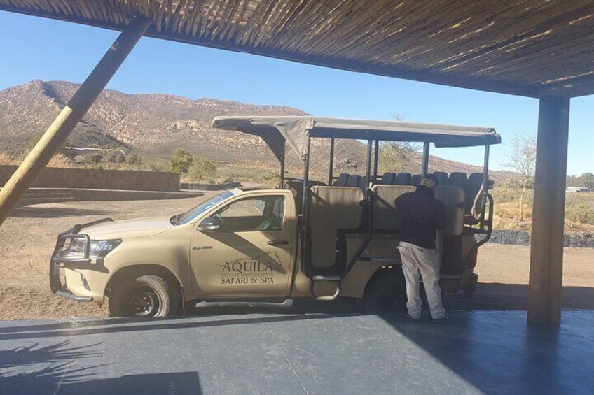 Big 5 Safari Aquila Full Day Private Return From Cape Town