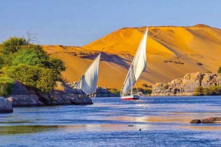 Half Day Felouka Adventure with Fishing - From Luxor 