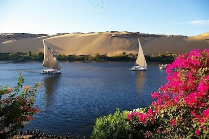 Felucca Half Day Tour with Fishing and Lunch from Luxor